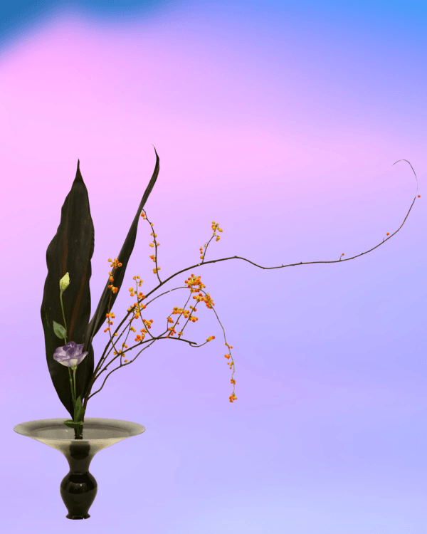 broken image