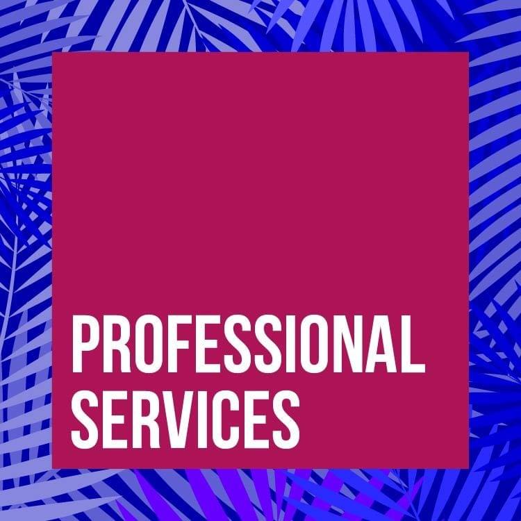 PROFESSIONAL SERVICES: Legal Services, Tax Planning and Accounting Services