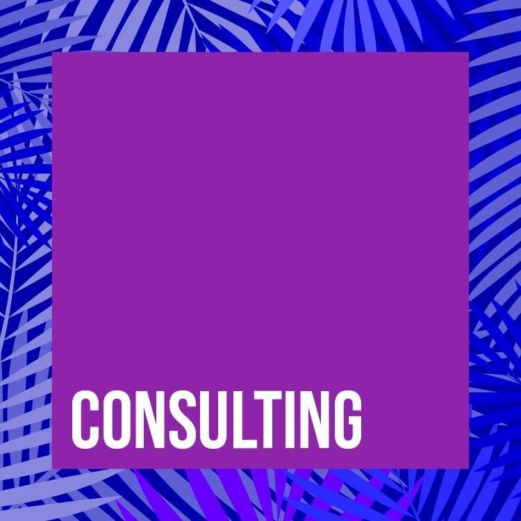CONSULTING: Economic, Scientific, Environmental, Technological, Managerial, Marketing, Human Resources, Computer, Auditing and Other Consulting Services