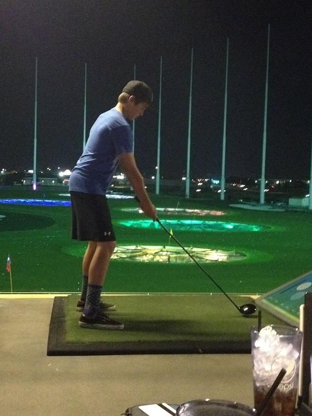 The Bronze, Gold, and Silver Eagle Scout Palms