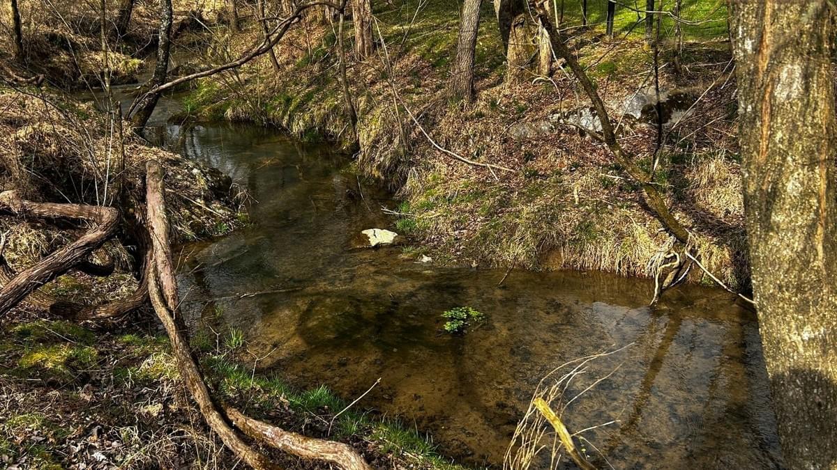 one-song-grove-jonesborough-tennessee-mark-and-natalie-viglione