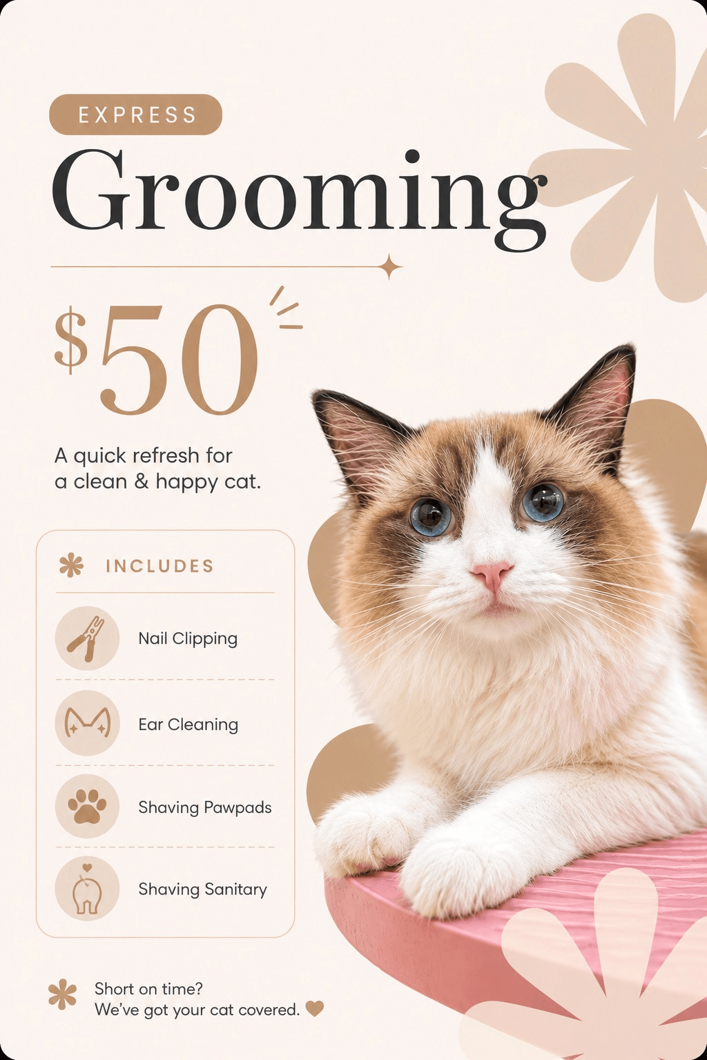 Cat Grooming Services