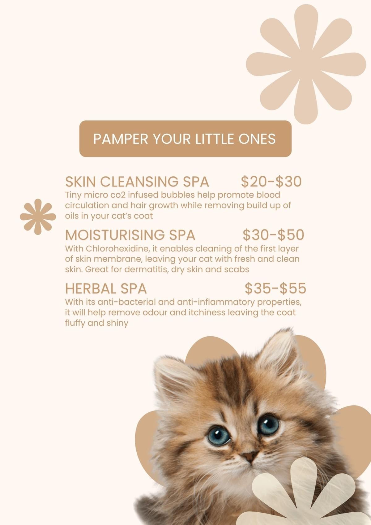 Spa and Skin Treatments