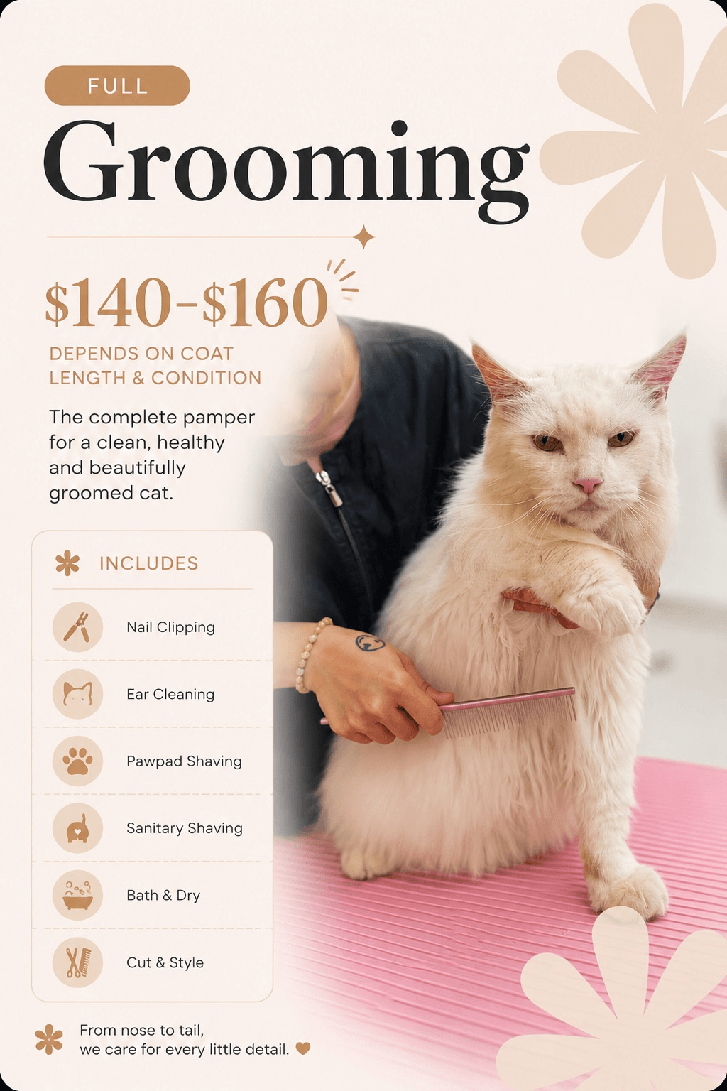 Cat Grooming Services