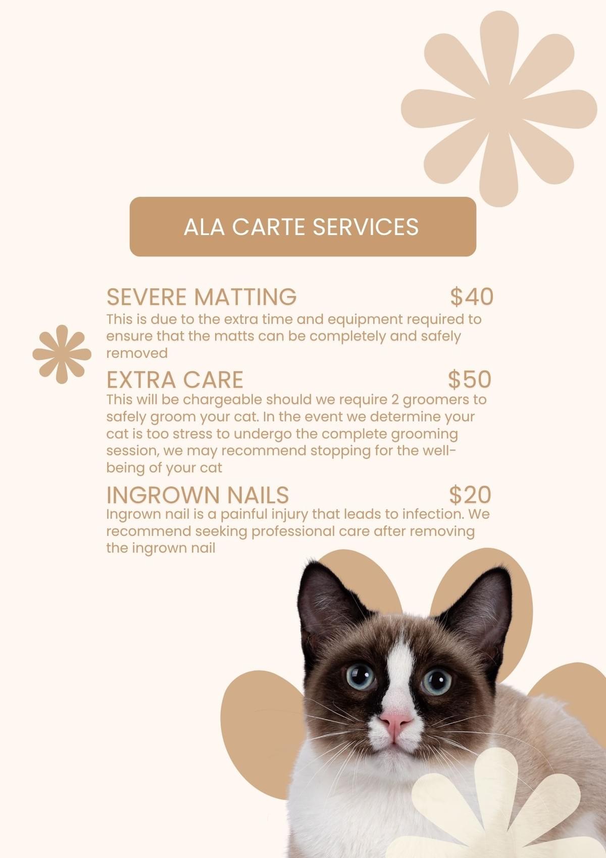 Ala Carte Services