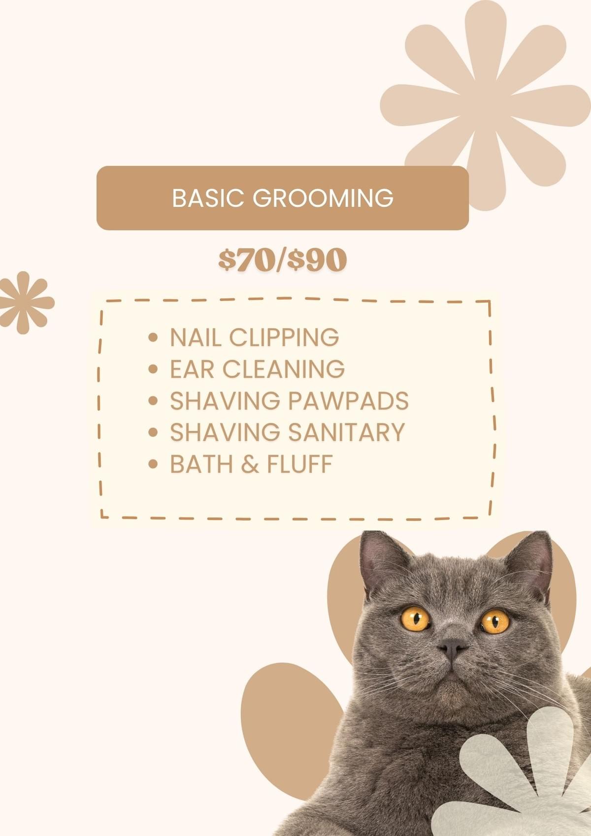 Cat Grooming Services