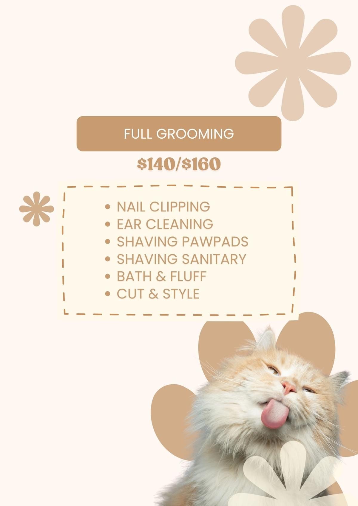 Cat Grooming Services