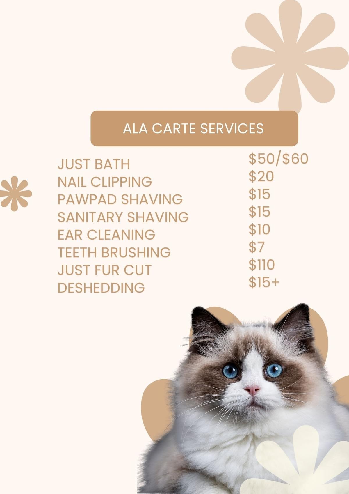 Ala Carte Services