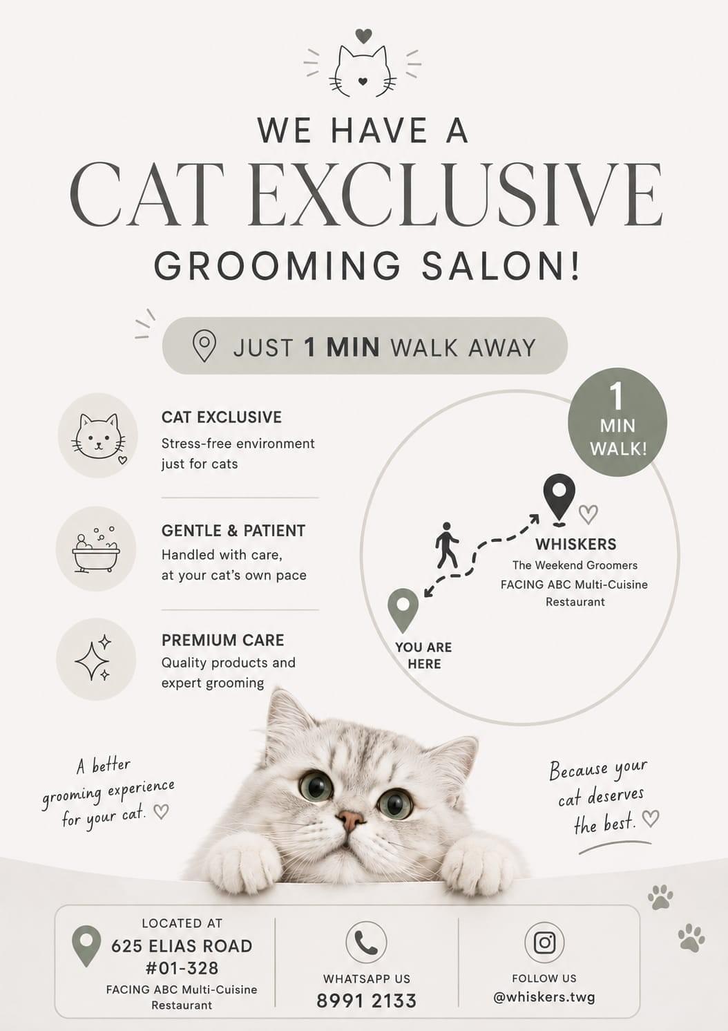 Cat Grooming