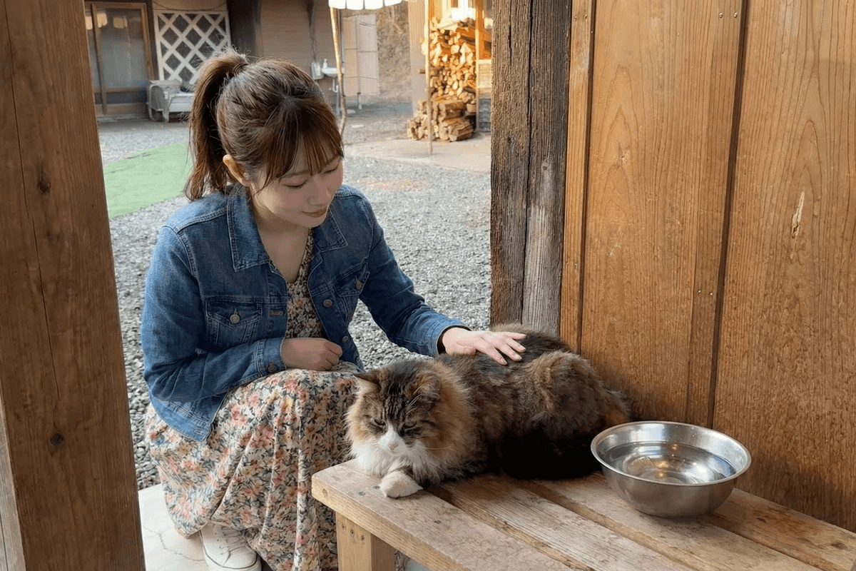 和心村の保護猫と触れ合うグランピング一人旅の女性