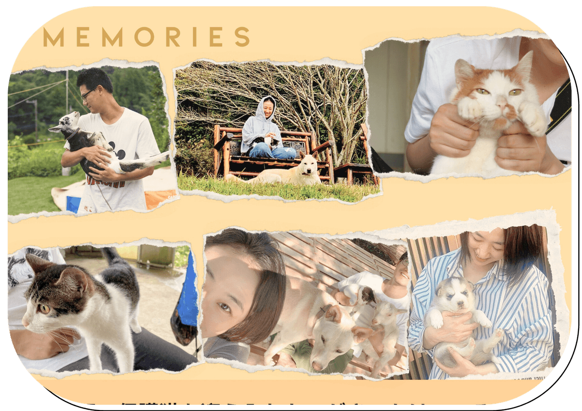 猫と暮らす古民家グランピング【和心村公式】|千葉富津・東京から1時間|サウナ&カフェも完備  千葉県富津市の豊かな自然に囲まれた和心村は、東京から車でわずか1時間、「人と動物と自然が調和する共生の村」をコンセプトにした唯一無二のグランピング