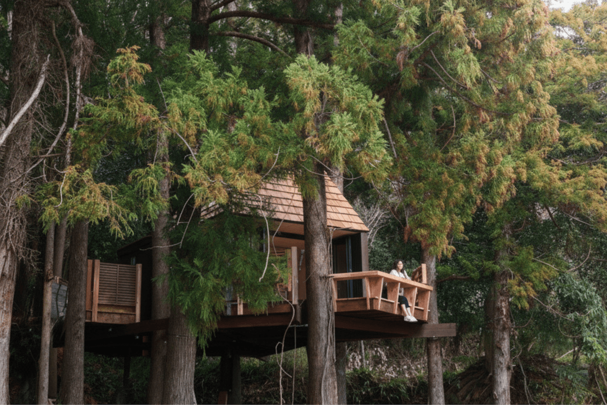千葉県富津市の和心村。天然木で造られたツリーハウスで里山の自然と共生する宿泊体験