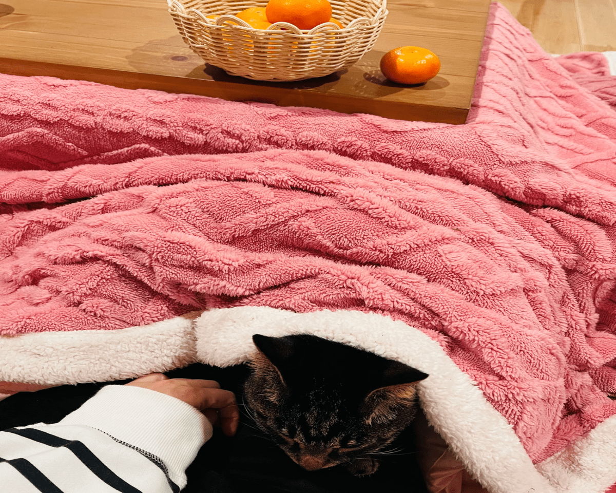 猫と暮らす古民家グランピング【和心村公式】|千葉富津・東京から1時間|サウナ&カフェも完備  千葉県富津市の豊かな自然に囲まれた和心村は、東京から車でわずか1時間、「人と動物と自然が調和する共生の村」をコンセプトにした唯一無二のグランピング