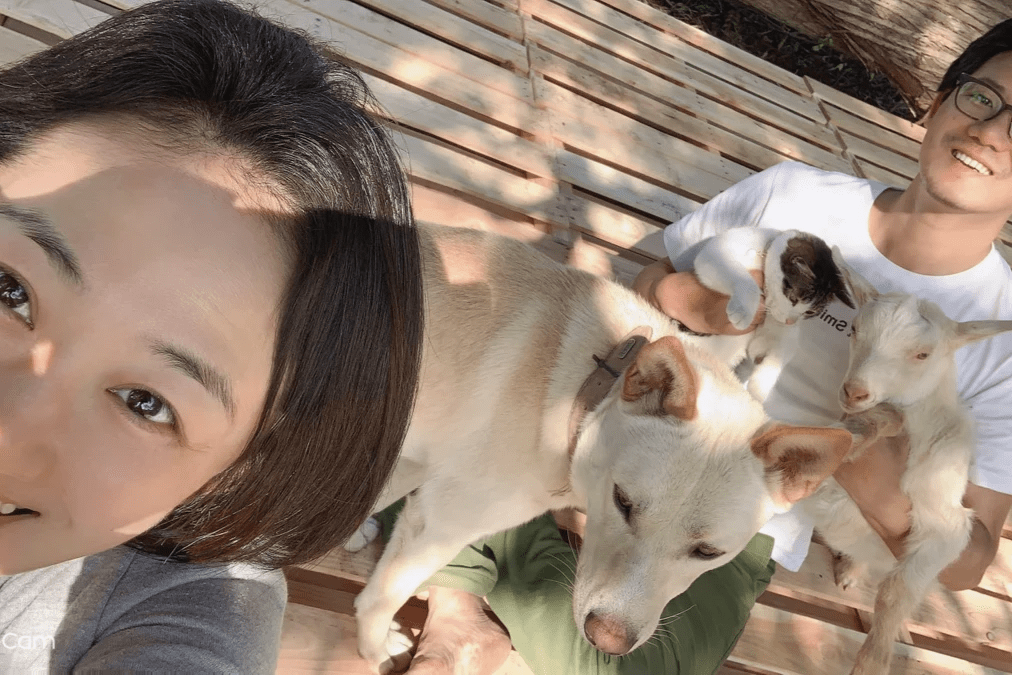 猫と暮らす古民家グランピング【和心村公式】|千葉富津・東京から1時間|サウナ&カフェも完備  千葉県富津市の豊かな自然に囲まれた和心村は、東京から車でわずか1時間、「人と動物と自然が調和する共生の村」をコンセプトにした唯一無二のグランピング