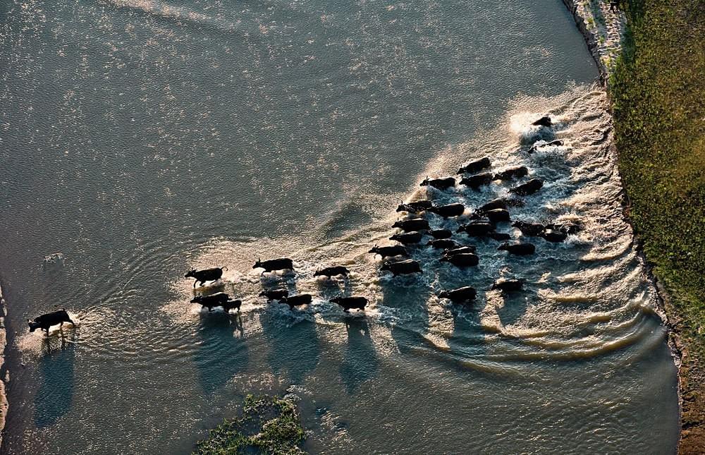 The Selous, Tanzania