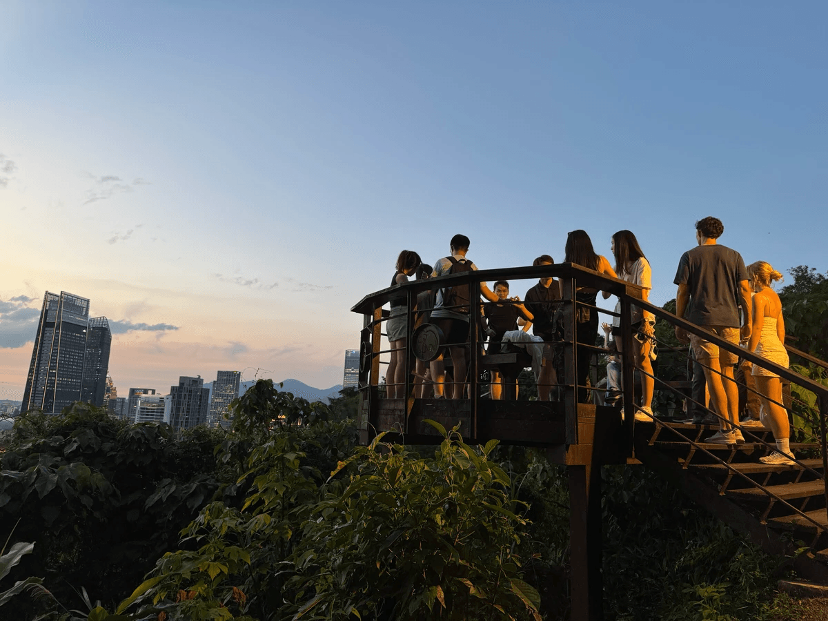 Stunning sunset skyline from the top of Elephant Mountain with a group of people on a landing