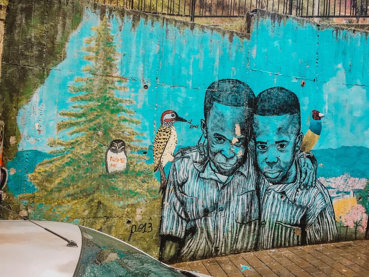 The Best of the Street Art in Medellin, Colombia Cult...