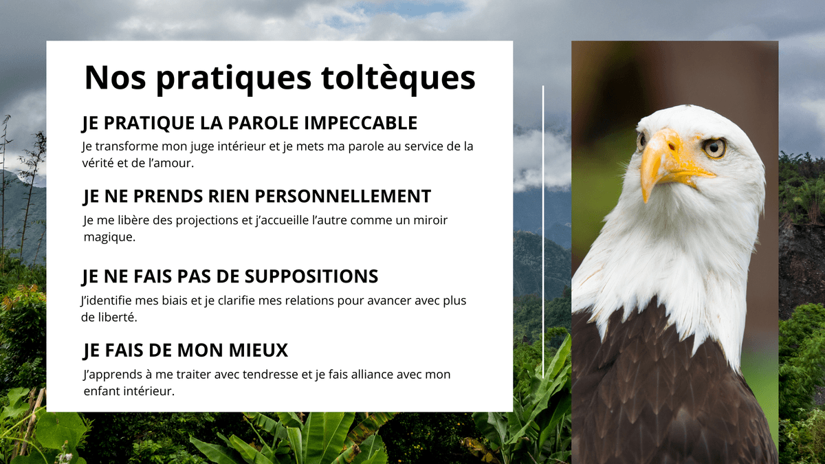 Grand aigle bleu : séjour initiatique toltèque à Salazie