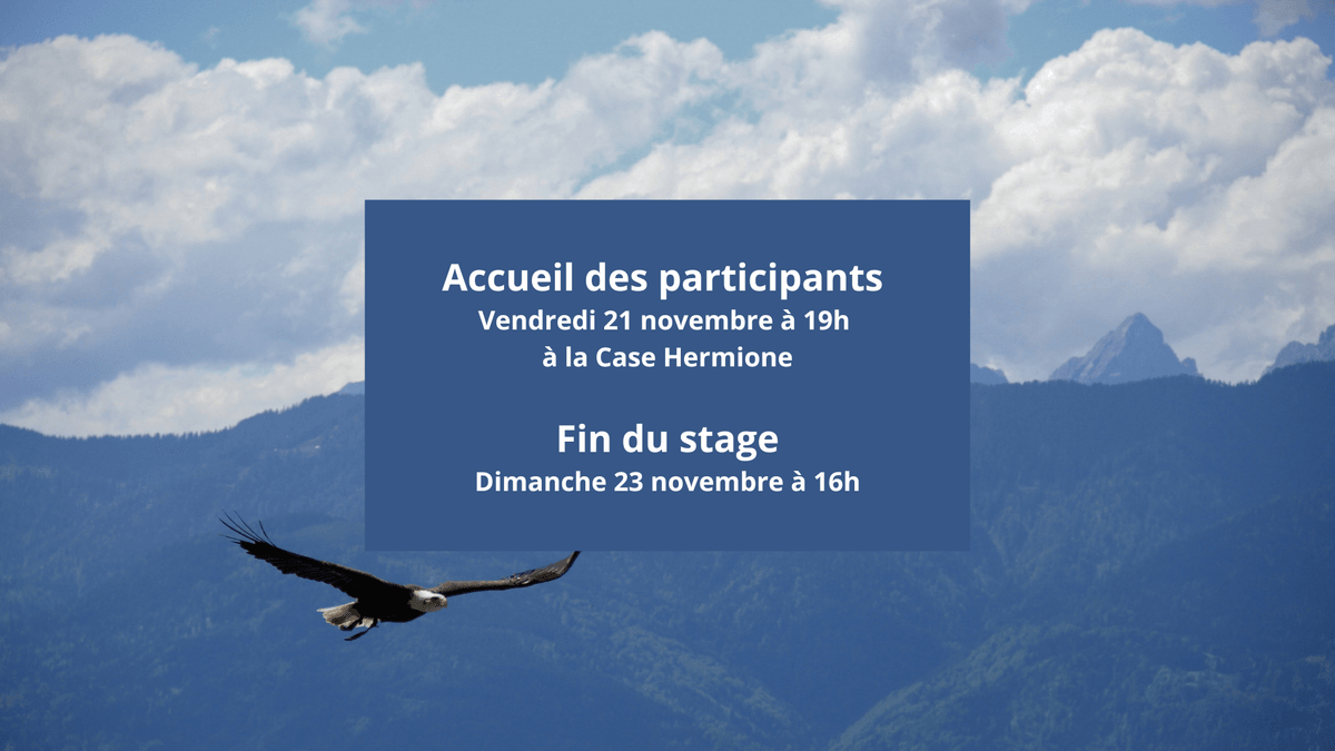 Grand aigle bleu : séjour initiatique toltèque à Salazie