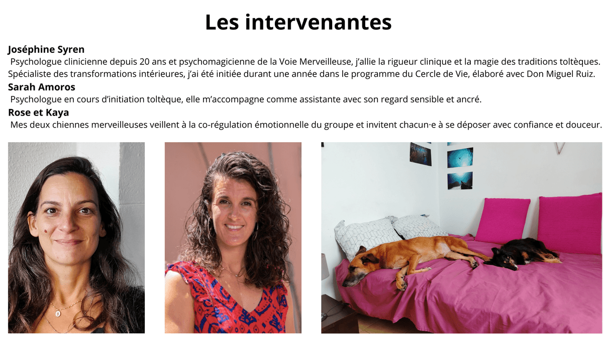 Grand aigle bleu : séjour initiatique toltèque à Salazie