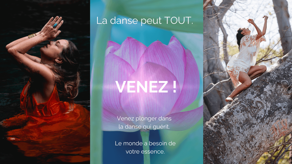 Au coeur du lotus rose : votre séjour de souveraineté entre femmes