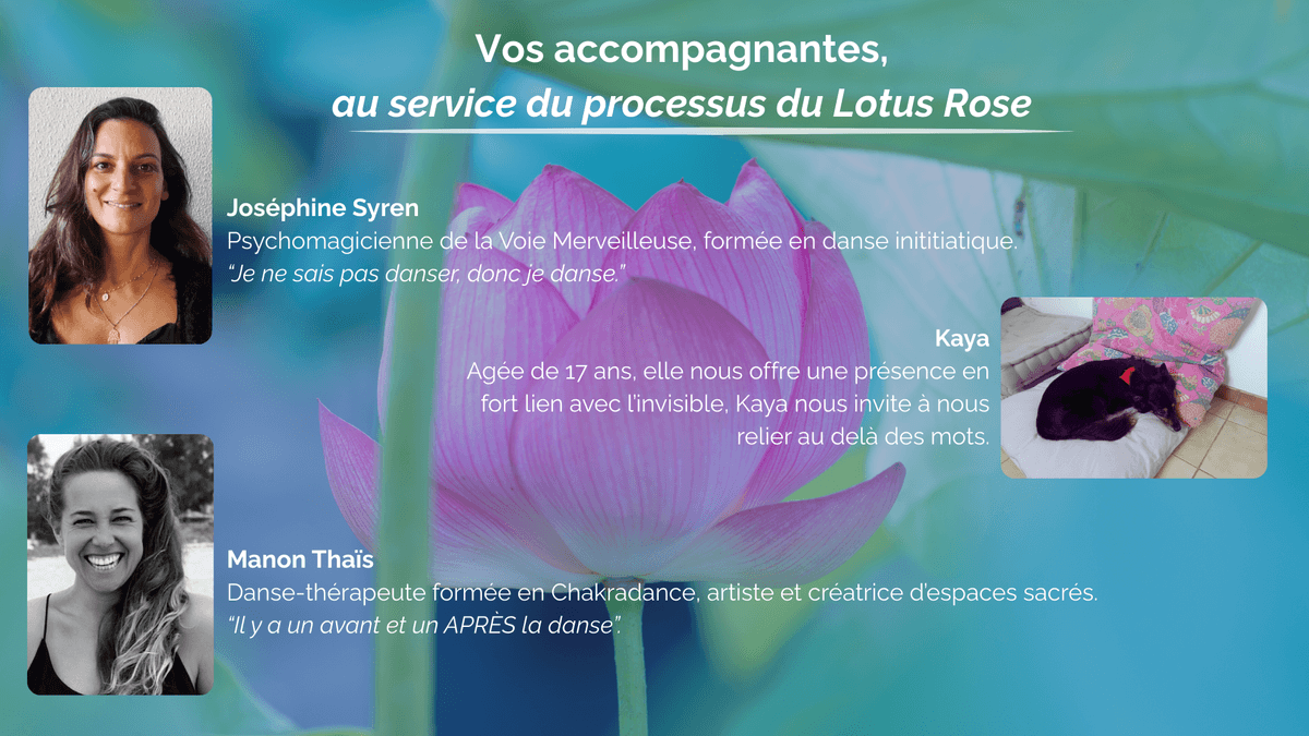 Au coeur du lotus rose : votre séjour de souveraineté entre femmes