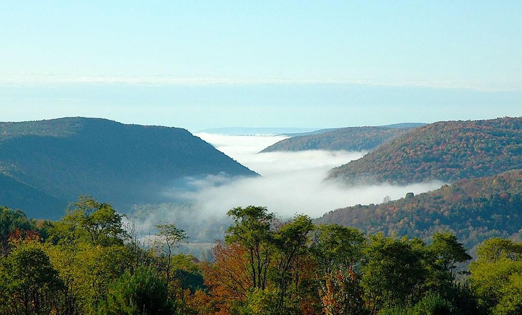 valley with mists