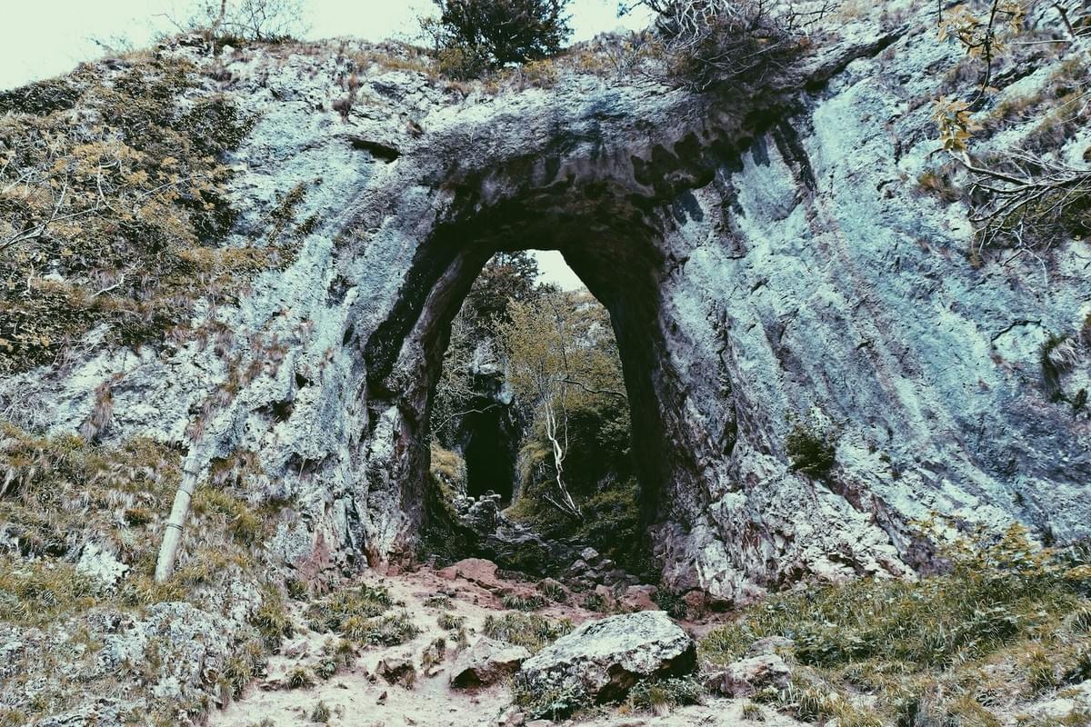 Section image