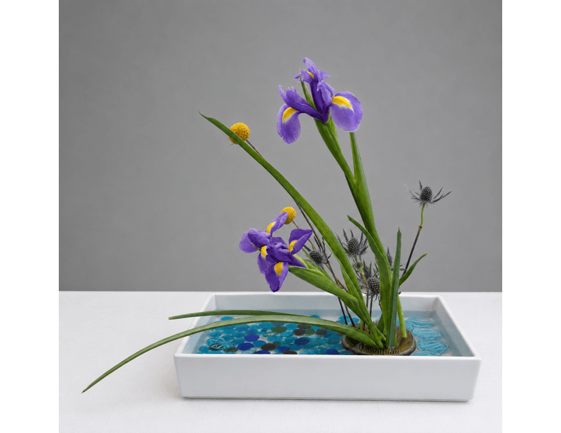 Purple Iris Ikebana arrangement in a white rectangular container.