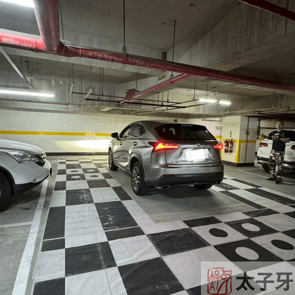 Lexus NX 上帝視角俯視圖示意