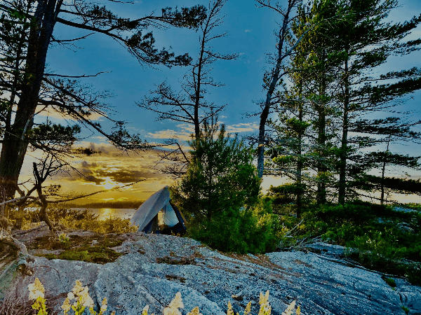 hunting alarm system application in camping