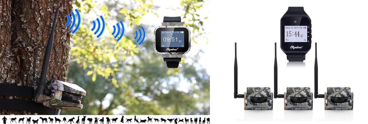 How Hunting Alarm Systems Enhance Safety and Success in...