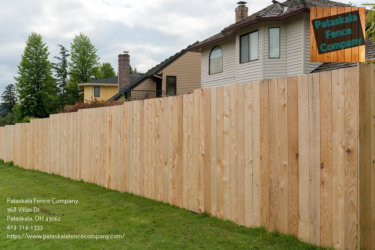 fencing for dog run