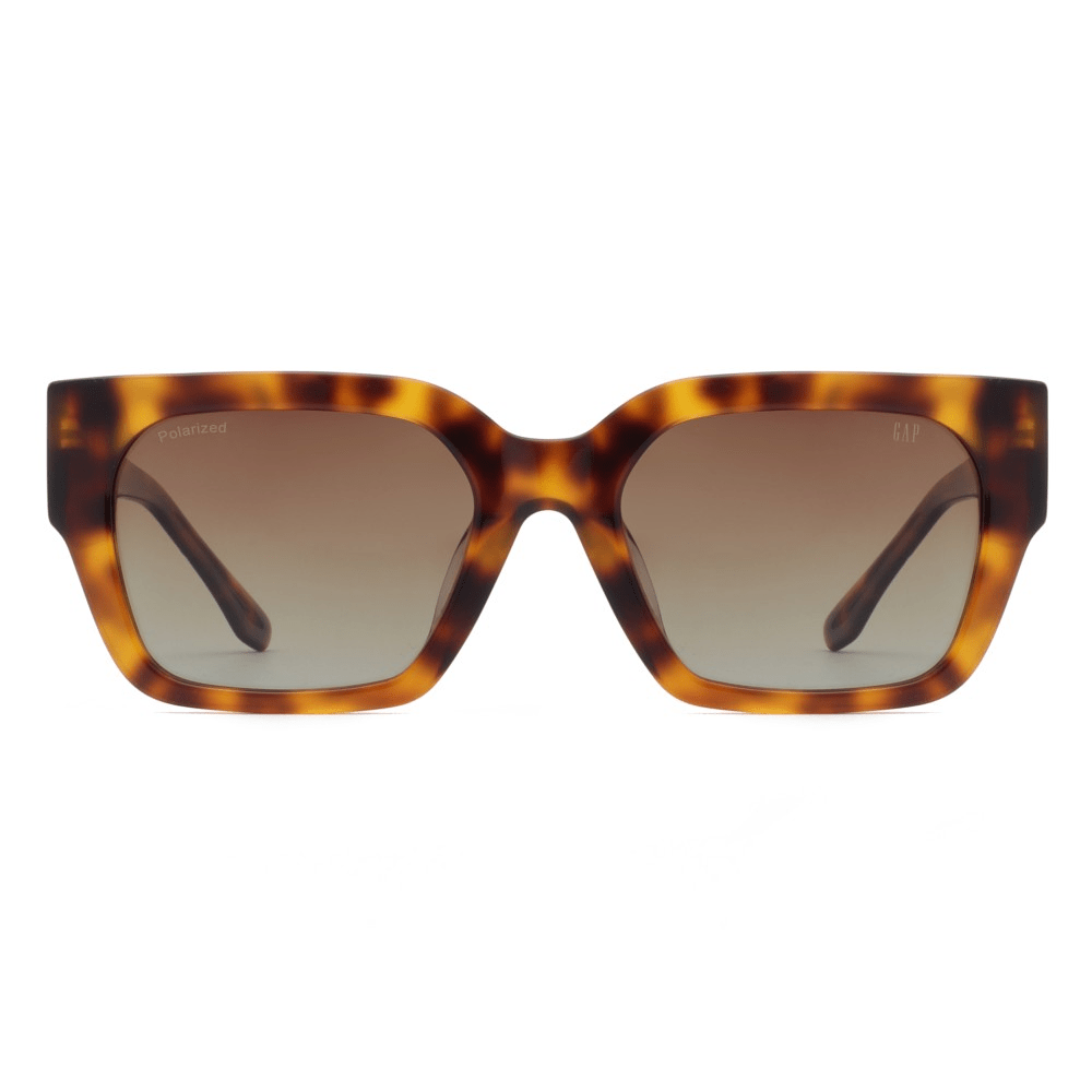 Acetate sunglasses, Daposi eyewear