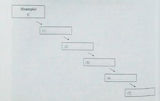 Chuyên đề Graphic Questions
