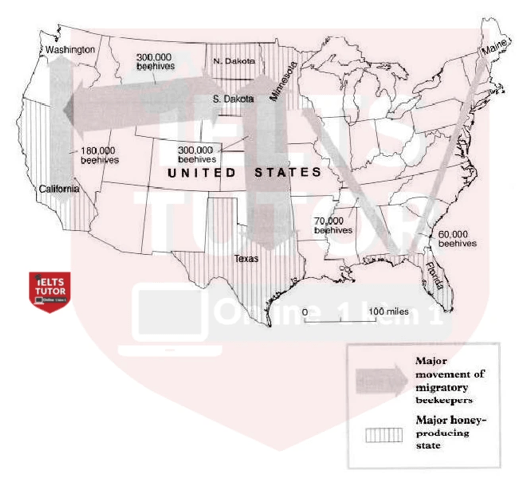 MIGRATORY BEEKEEPING