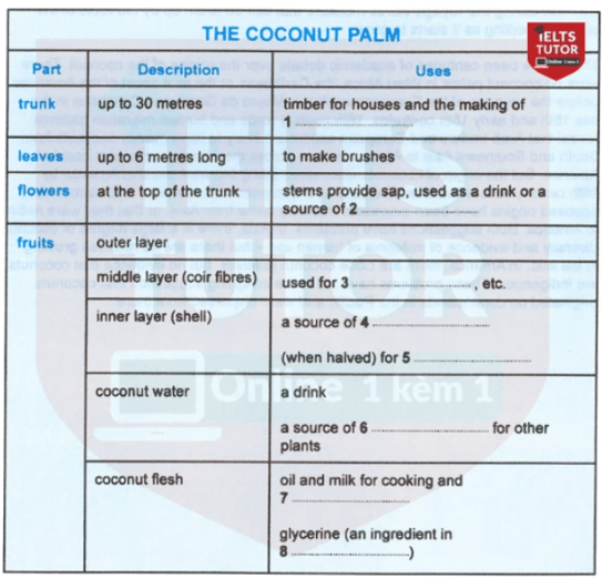 The coconut palm