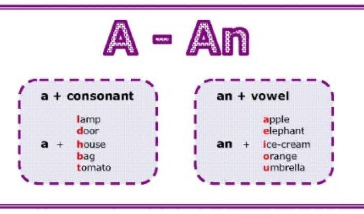 Mạo Từ Trong Tiếng Anh