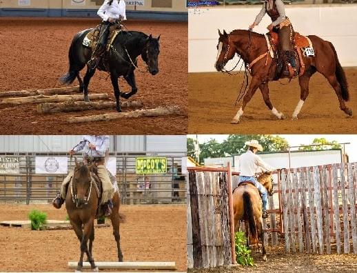 Magasin d'équitation western et de randonnée, prêt-à-porter et