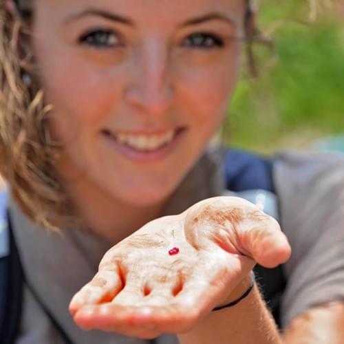 Photo @Vincent Pardieu