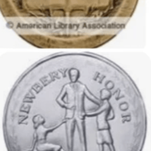 The Youth Media Awards