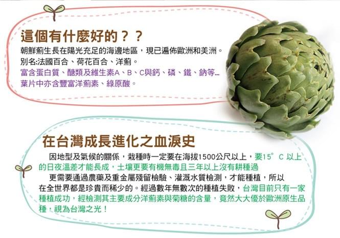 沛健密碼朝鮮薊茶包 20包