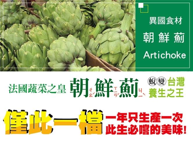 沛健密碼朝鮮薊茶包 20包