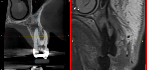 Section image