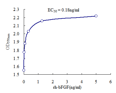 Recombinant Human Fibroblast Growth Factor-basic (rh-bFGF)