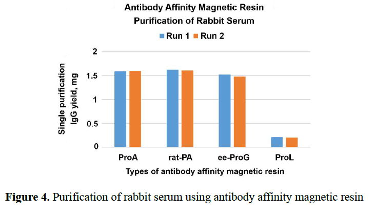 r-Protein A Magnetic Resin