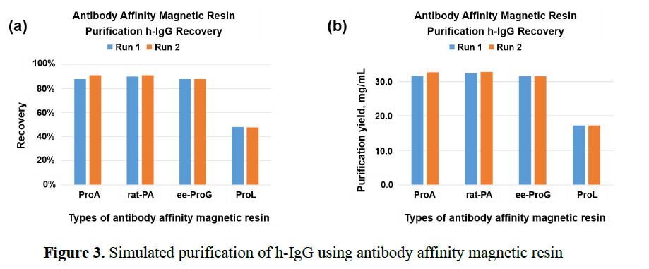 r-Protein A Magnetic Resin