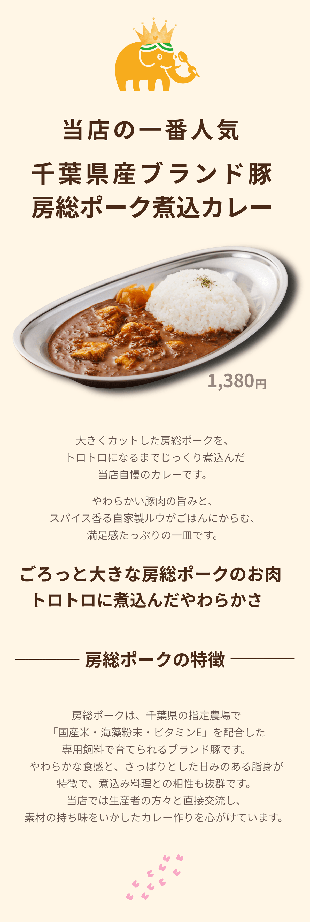 房総ポーク煮込みカレー, 千葉県産ブランド豚, 房総ポーク カレー, 当店一番人気, 神保町 カレー, たんどーる