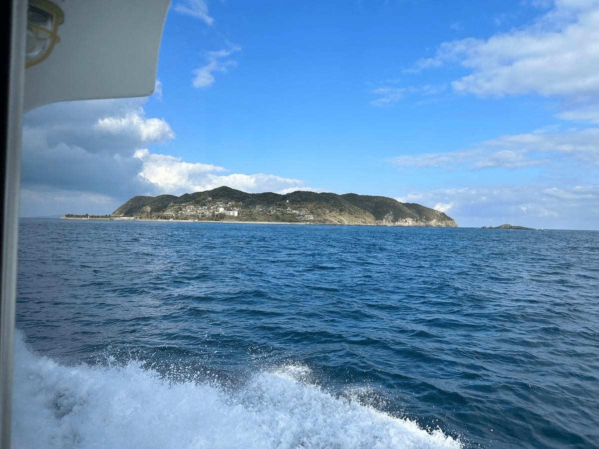 VENURSE TSUBAKI OIL｜椿の島の加唐島を海から見て (ヴィーナースツバキオイル)