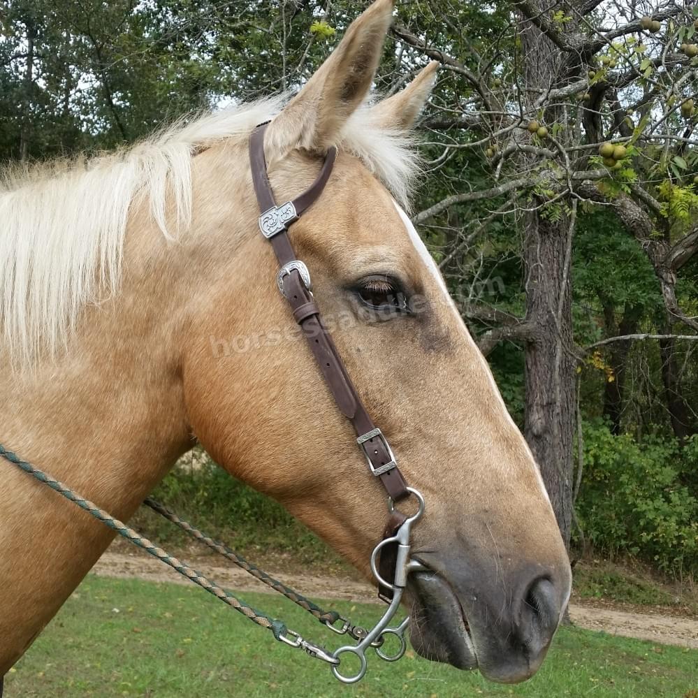 Western Horse Bridles for Sale in the USA